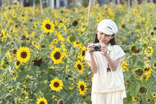 Du xuân trên cung đường đất đỏ bazan