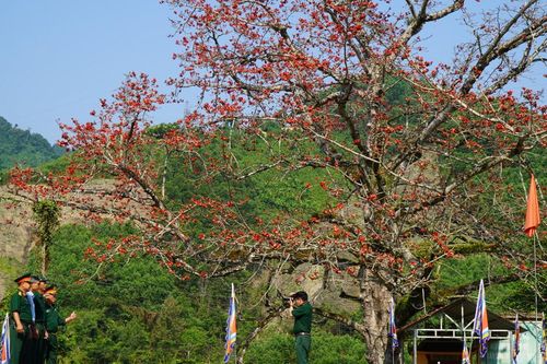 Bến Giằng, mùa hoa gạo nở