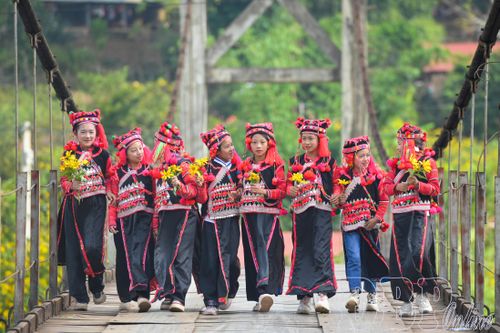 Vui tết Khụ Sự Chà