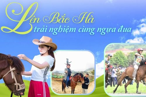 Lên Bắc Hà trải nghiệm cùng ngựa đua