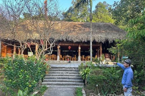 Nhà sàn bê tông - Nét đẹp giữa hiện đại và truyền thống