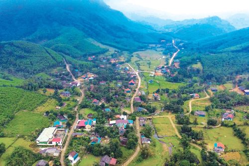 'Báo vàng' của người Rục