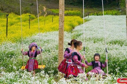 Sơn La đón gần 300 nghìn lượt khách du lịch dịp Tết Nguyên đán Bính Ngọ 2026