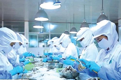 Doanh nghiệp vượt khó, Tết ấm no nhờ 'bệ đỡ' tài chính công