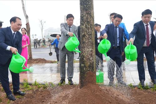 Xã Đông Anh trồng mới hơn 3.000 cây xanh