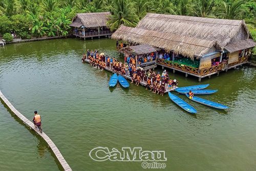 Màu xanh dưới tán rừng