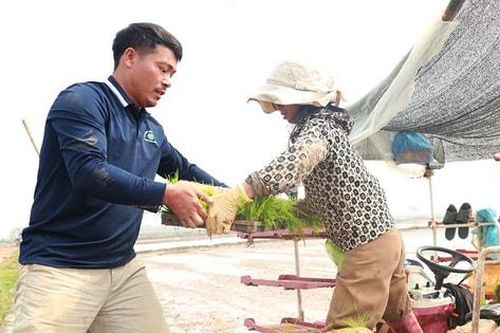 Nô nức xuống đồng gieo cấy vụ xuân