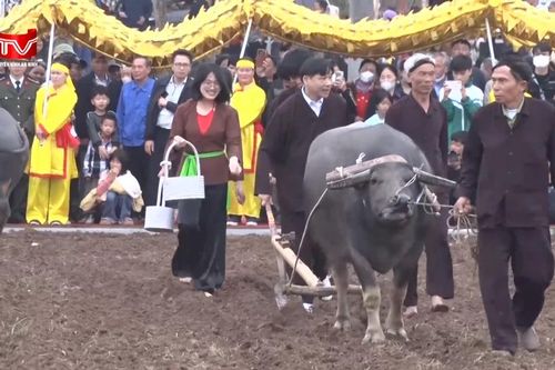 Rộn ràng lễ hội Tịch điền Đọi Sơn, tái hiện nghi lễ vua xuống đồng cày ruộng