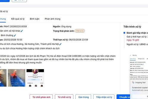 Cấm hoạt động với hai lái đò bị tố vòi tiền, chặt chém