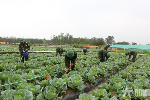 'Thực túc binh cường' ở Trung đoàn 19