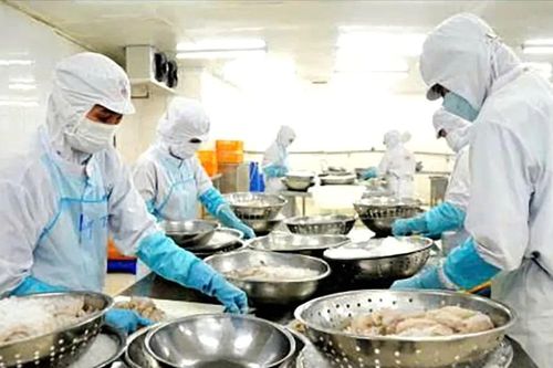 Rộn ràng đơn hàng xuất khẩu khai xuân