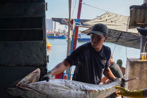 Ngư dân Khánh Hòa hứng khởi đón chuyến biển đầu xuân
