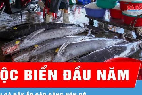 Ngư dân Khánh Hòa hứng khởi đón chuyến biển đầu xuân