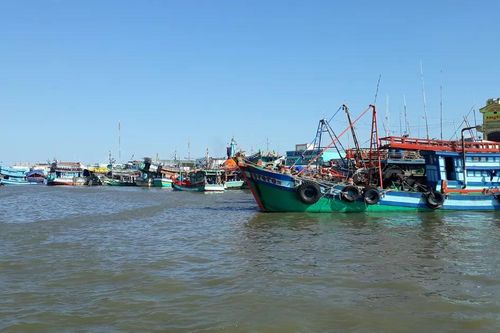 Cà Mau: Gần 37 tỷ đồng hỗ trợ ngư dân nâng cấp, thay thế thiết bị giám sát hành trình tàu cá