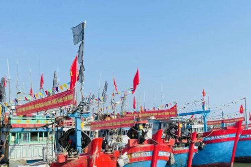 Lộc biển đầu năm, ngư dân Quảng Ngãi bội thu cá cơm