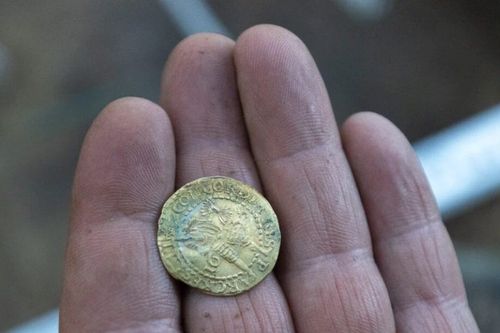 Kho báu 69 đồng tiền xu cổ bỗng trồi lên giữa lớp rêu rừng