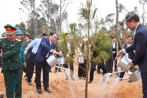 Bí thư Thành ủy, Chủ tịch UBND TP Hải Phòng trồng cây xanh đầu năm mới