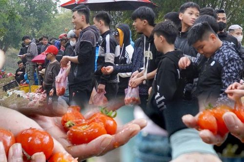 Độc đáo Lễ hội ném cà chua ở Thanh Hóa: Càng ném nhiều càng may mắn