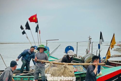 Ngư dân trúng đậm 'lộc biển' đầu năm