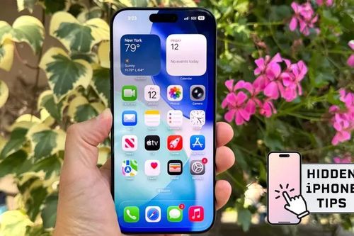 7 điều thanh tìm kiếm iPhone có thể làm cực nhanh nhưng nhiều người không biết