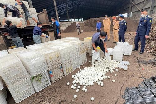 Tiêu hủy gần 30.000 trứng vịt lộn không rõ nguồn gốc trong dịp Tết