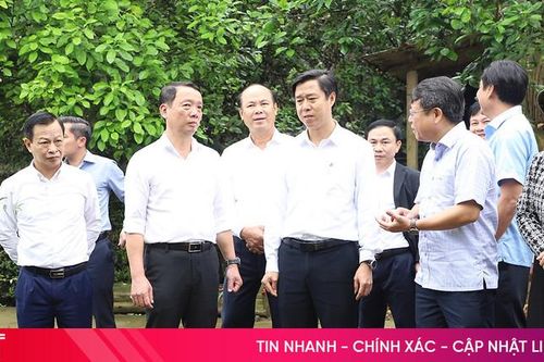 Chủ tịch UBND tỉnh kiểm tra thực tế và chỉ đạo sản xuất đầu xuân Bính Ngọ