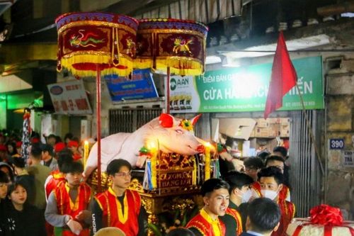 Lễ rước 'ông lợn' truyền thống độc nhất đầu Xuân ở Việt Nam