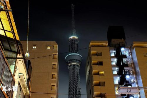 Nhật Bản: 20 người mắc kẹt trong thang máy tòa tháp Skytree nổi tiếng