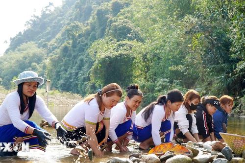 Quảng Ngãi: Tái hiện tục Đắp chăn 'săn' cá suối của đồng bào Co