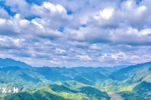 Du lịch rừng-biển hấp dẫn du khách những ngày đầu Xuân