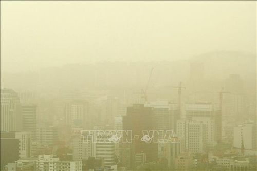 Bụi vàng và thời tiết xấu ảnh hưởng nhiều khu vực Hàn Quốc