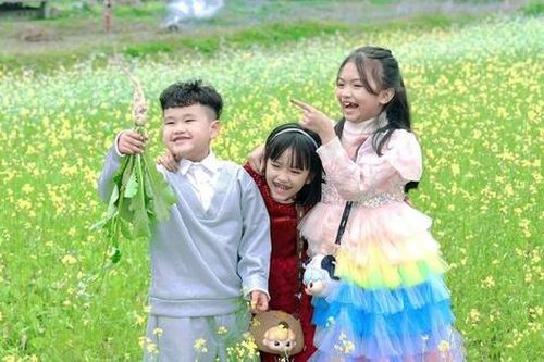 Hoa cải nhuộm vàng, gọi bước chân du xuân