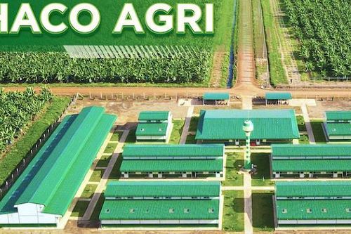 Thông điệp mới nhất của ông Trần Bá Dương hé lộ những bước đi gì của Thaco trong năm 2026?