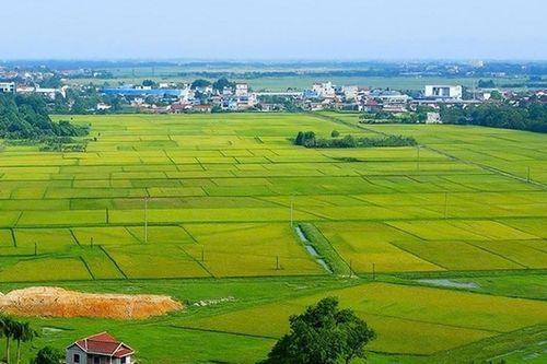 Chính phủ yêu cầu hoàn thiện dữ liệu đất đai theo các mốc trong 2026
