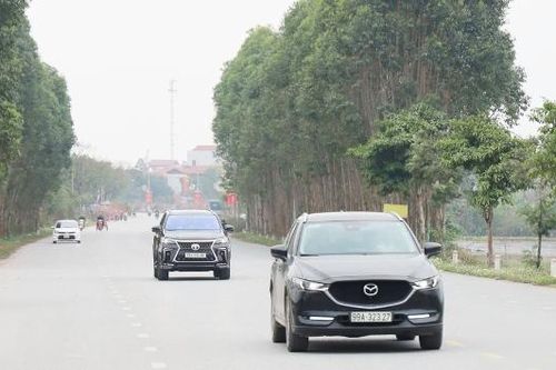 Hiệu quả chương trình khoán trồng, chăm sóc cây phân tán