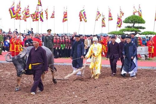 Khai mạc lễ hội Tịch điền Đọi Sơn, tái hiện huyền tích vua Lê Đại Hành đi cày