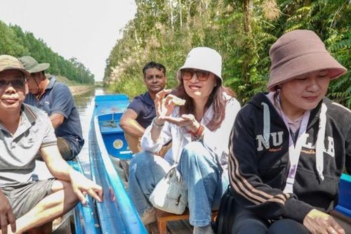 Cà Mau: Độc đáo trải nghiệm ăn ong và thưởng thức mật ngọt giữa rừng tràm U Minh Hạ