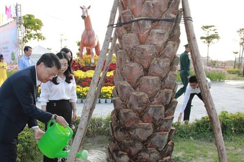 Phường Ngũ Hành Sơn trồng hàng nghìn cây xanh hưởng ứng 'Tết trồng cây' Xuân Bính Ngọ 2026