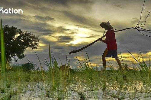 El Nino có thể quay lại mạnh mẽ trong năm 2026