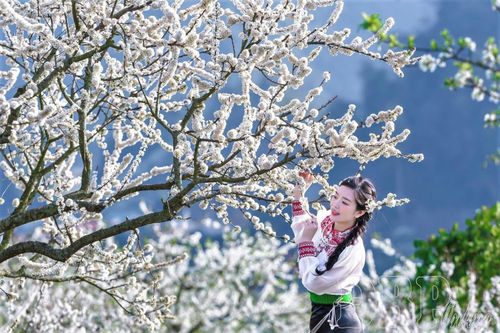 Đắm chìm trong cảnh sắc Điện Biên