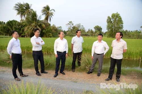 Lãnh đạo Sở Nông nghiệp và Môi trường tỉnh Đồng Tháp kiểm tra công tác phòng, chống hạn, mặn