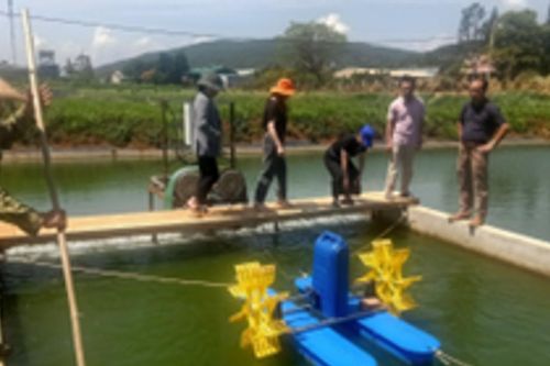 Ứng dụng khoa học - công nghệ nâng cao giá trị sản xuất