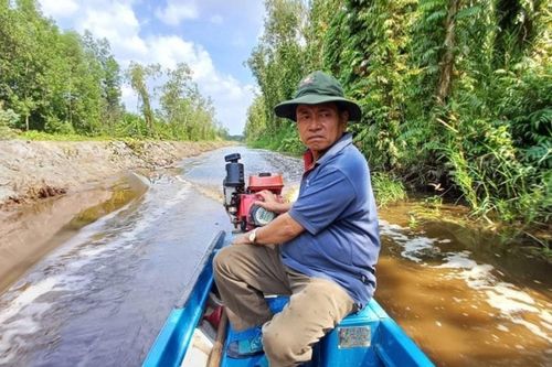 Cà Mau: Trải nghiệm nghề ăn ong và thưởng thức mật ngọt giữa rừng U Minh Hạ