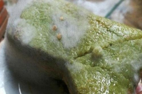 Bánh chưng bị mốc vỏ có nên cắt bỏ rồi rán ăn không