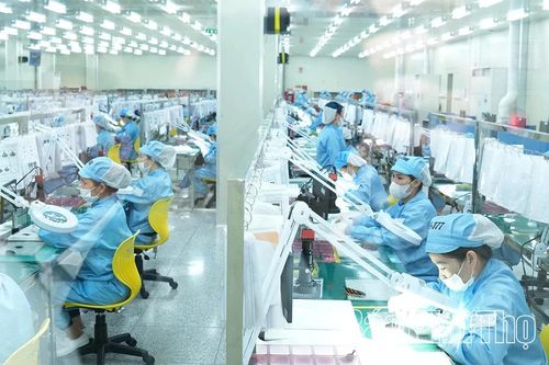 Hân hoan thi đua lao động sản xuất đầu Xuân