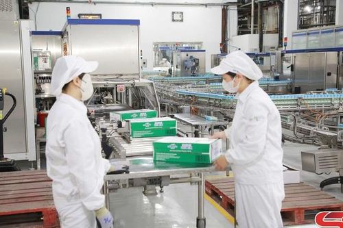 Sôi nổi không khí lao động đầu năm trên cao nguyên