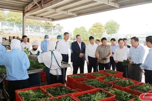 Thường trực Tỉnh ủy Sơn La nắm tình hình sản xuất tại một số nhà máy