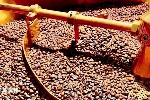 Biến đổi khí hậu tác động tiêu cực tới ngành cà-phê toàn cầu