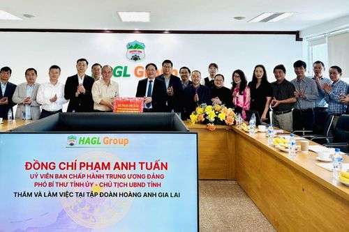 Tập đoàn Hoàng Anh Gia Lai (HAG): Đẩy mạnh nông nghiệp tuần hoàn, chế biến sâu