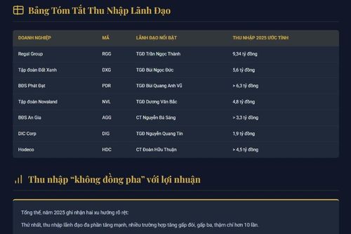 'Soi' thu nhập CEO, lãnh đạo doanh nghiệp địa ốc